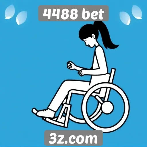 Acessibilidade do site 4488 bet em dispositivos móveis